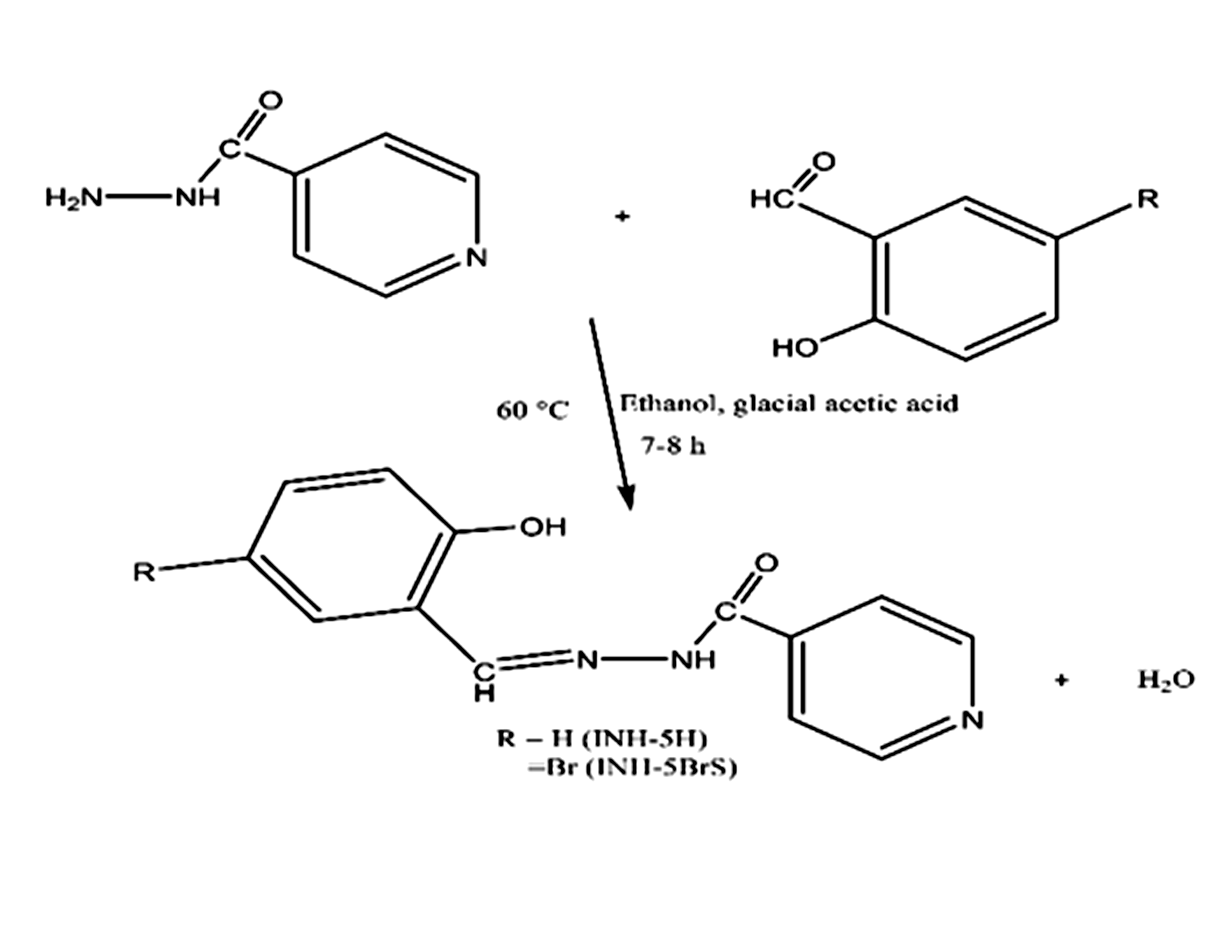 Scheme 1: Synthetic route to the Schiff bases formation