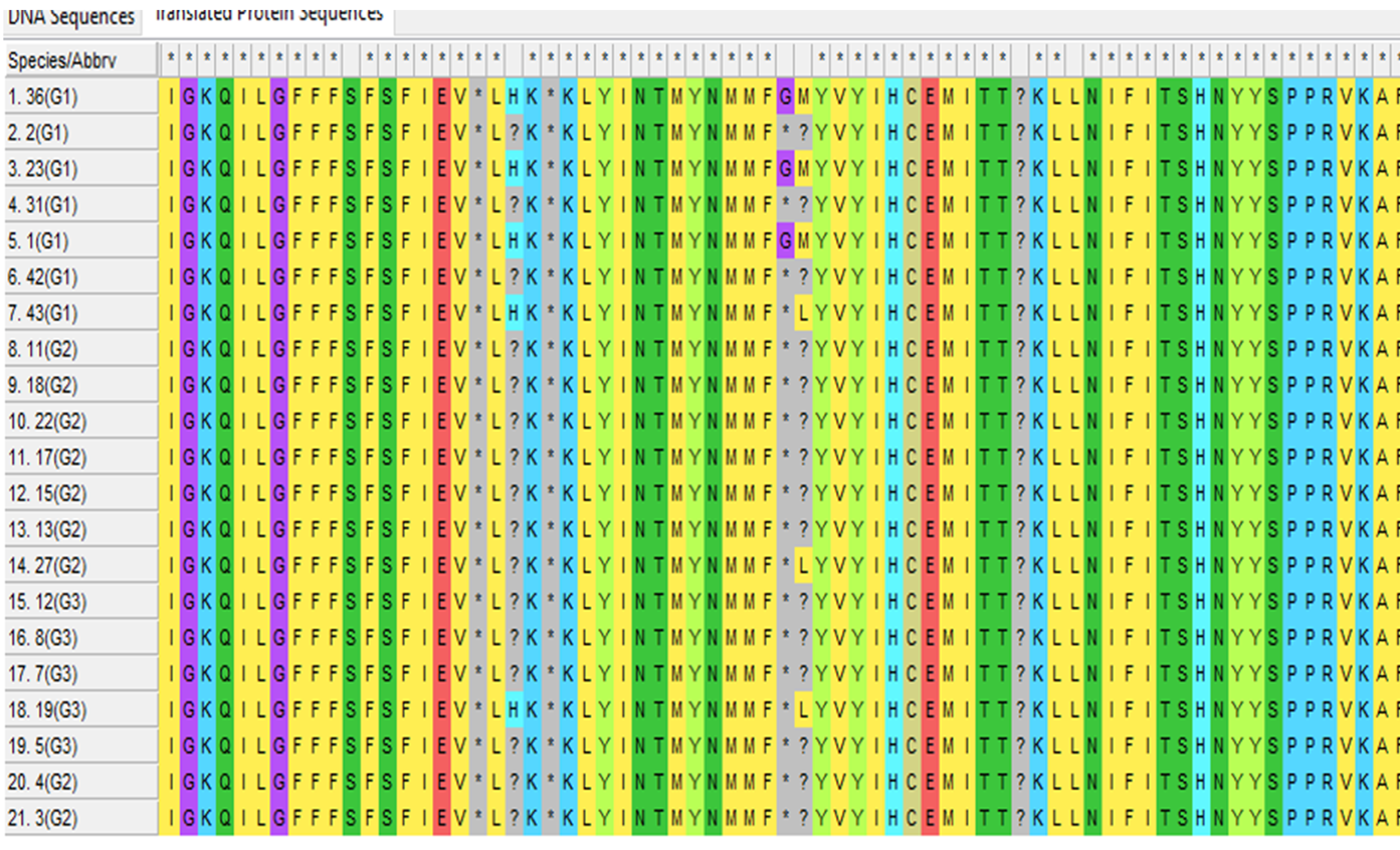 Amino acid alignment showing the effect of potential SNPs on amino acid sequence along the sequenced PTEN gene
